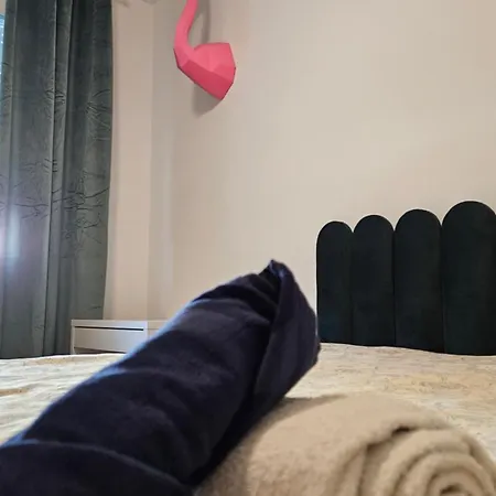 Flamingo Casa Novi Sad