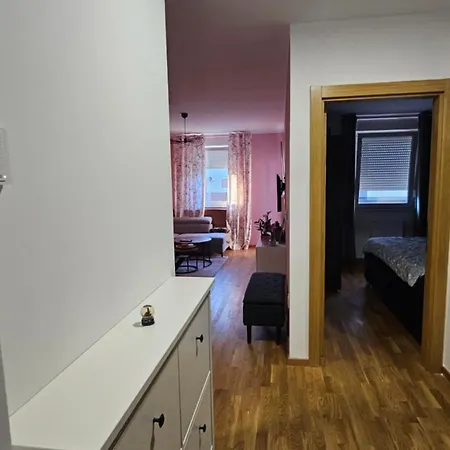 Flamingo Casa * Novi Sad